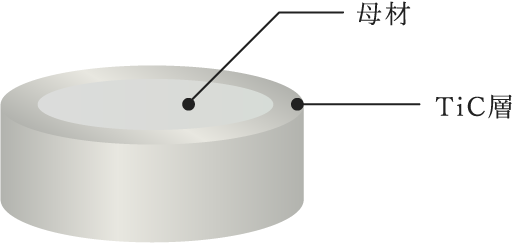 TiC処理構造